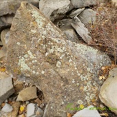 ландшафтный камень с мхом