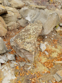 Ландшафтный камень с мхом фото 