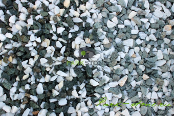 Щебень крошка микс (белый-зеленый) фр. 10-20 мм. фото 
